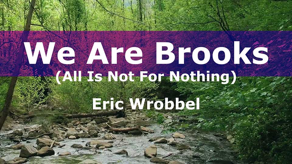 We Are Brooks (All is Not For Nothing by Eric Wrobbel